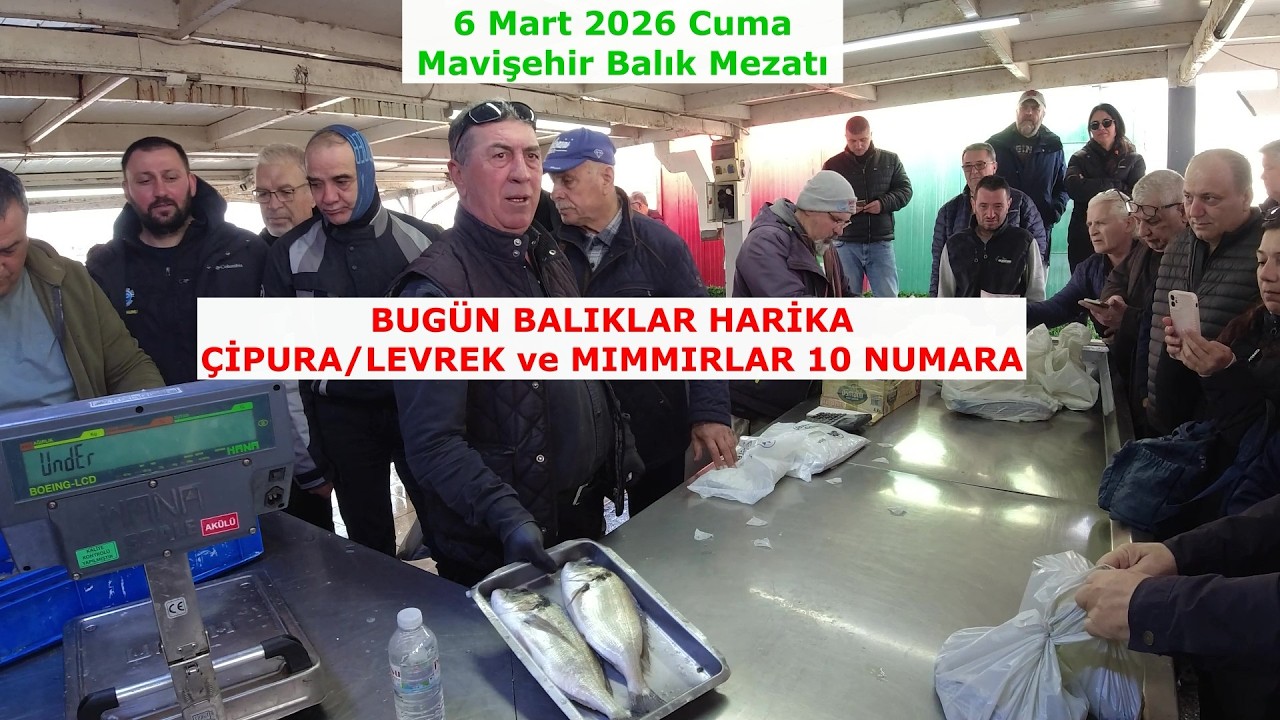 BUGÜN HARİKA BALIKLARLA ÇOK GÜZEL BİR MEZAT OLDU YİNE. 6 Mart 2026 Cuma.