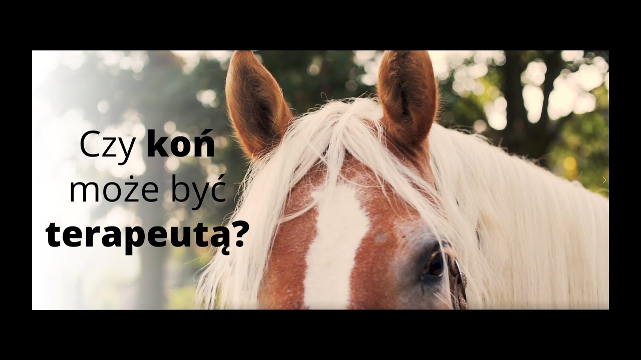 Hipoterapia - Zagroda Możliwości