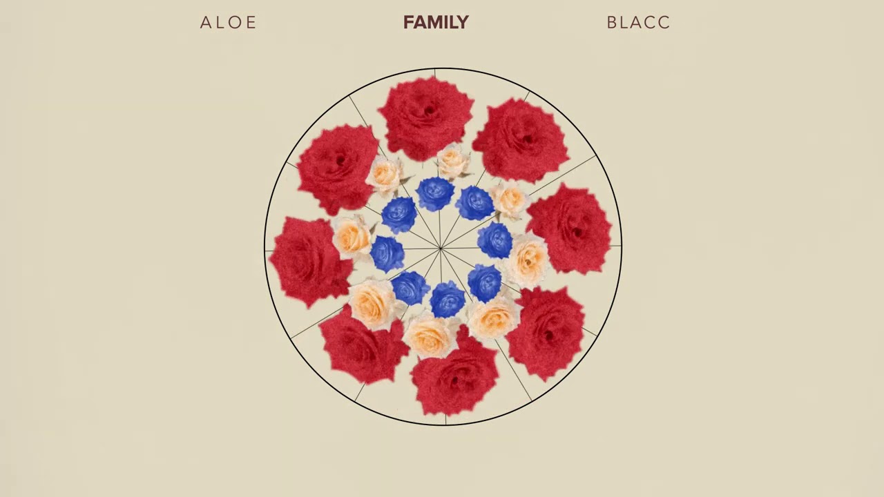 Aloe Blacc - Family (Official Audio Visualizer)