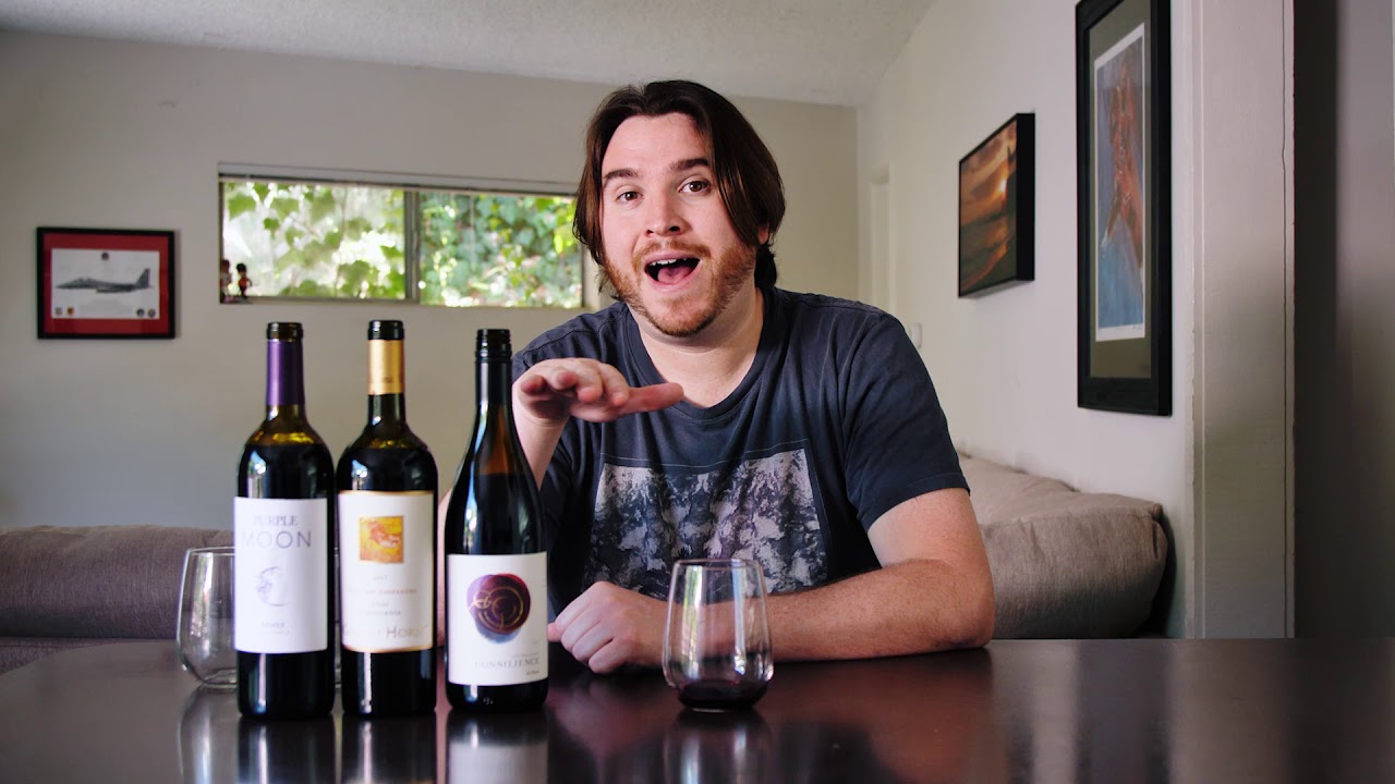 Trader Joe's Wine Reviewer - California Red's - Vine Trader vlog Ep. 1
