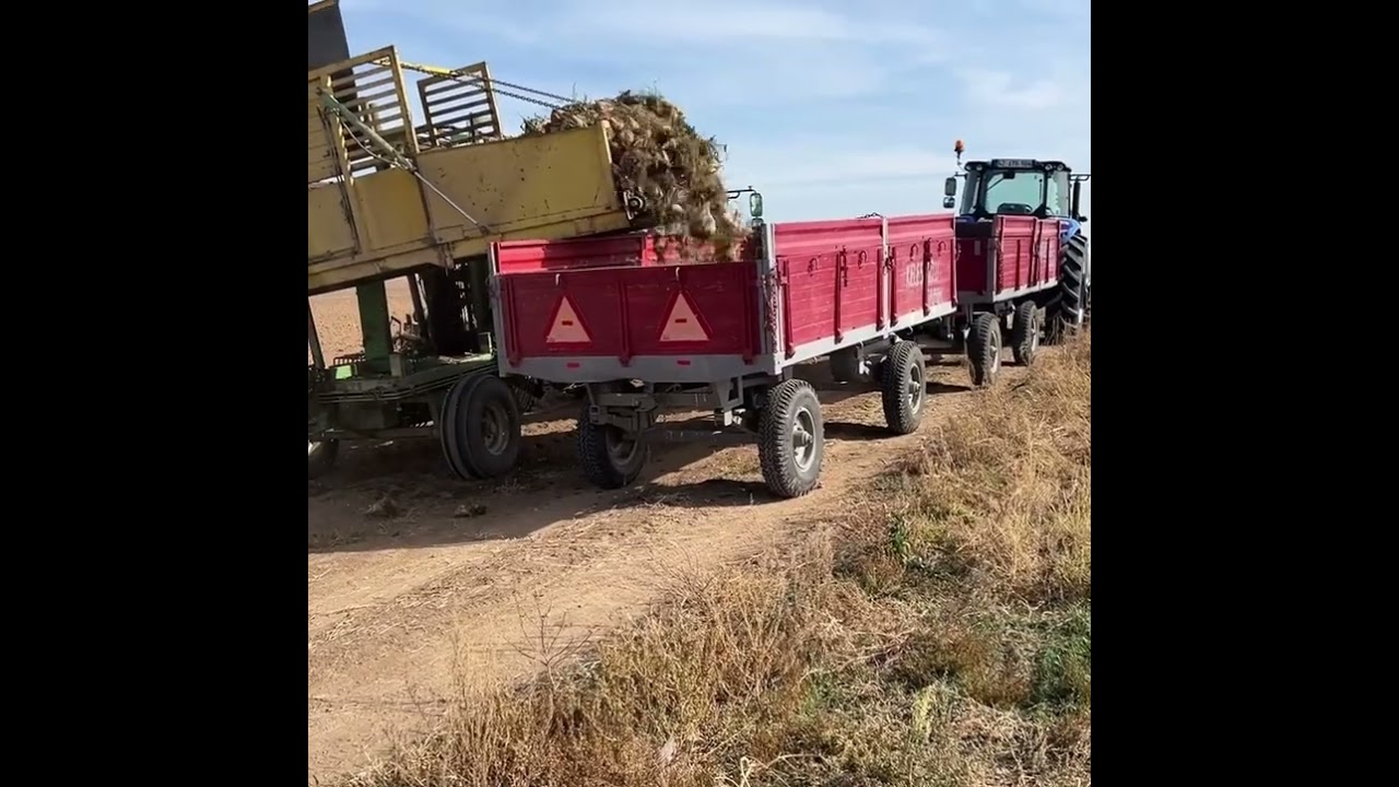 Bir pancar sezonu daha bitti