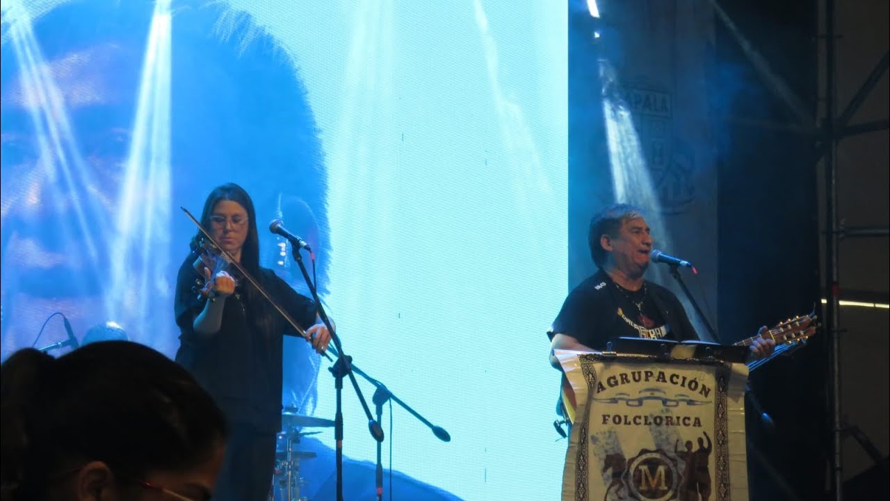 Gato y Chacarera ! @gabrielylajuntada  (El remolino / Chacarera del violín) Instrumental
