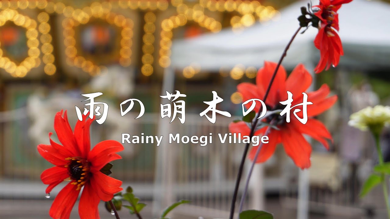 In the rainy Moegi Village, the 