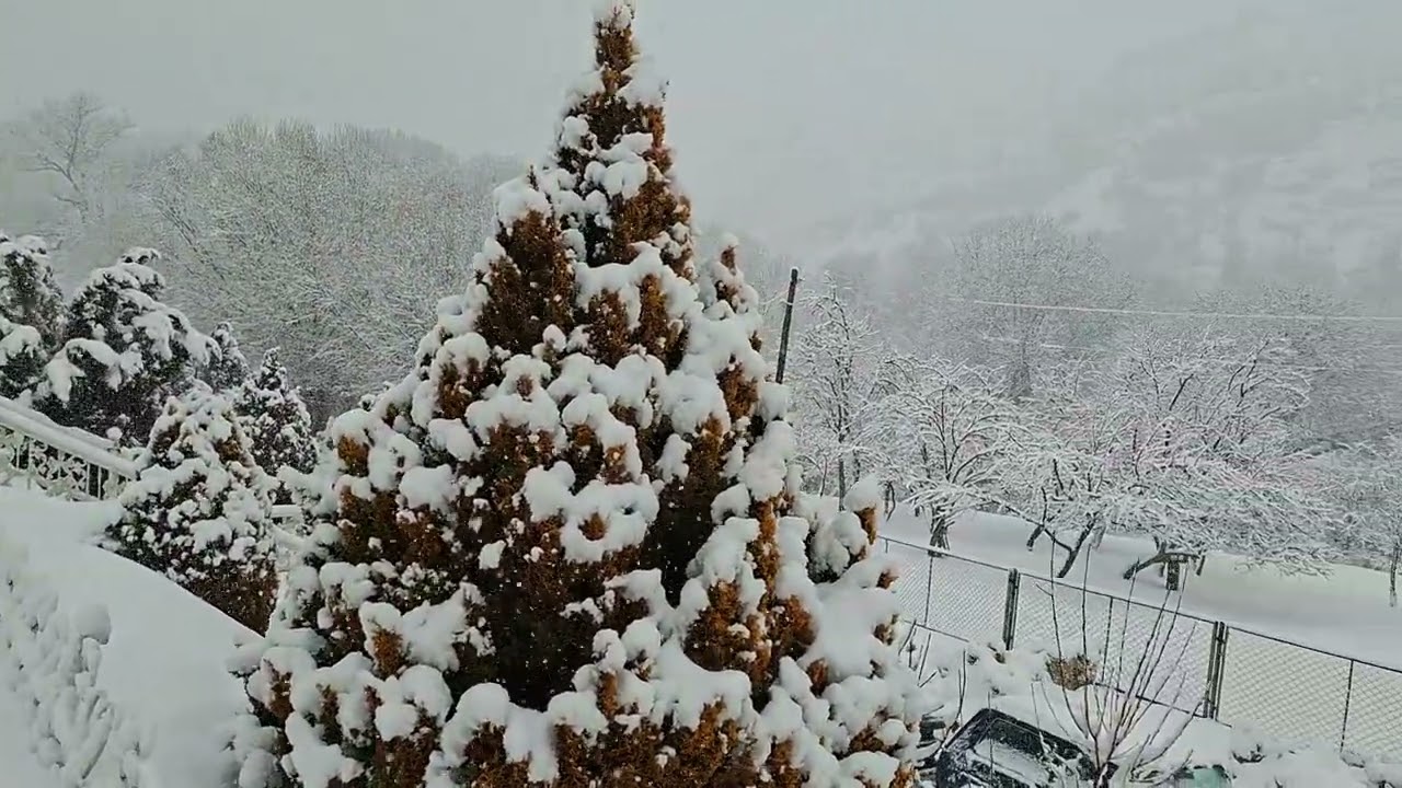 Kiçik Çillə özünü göstərdi