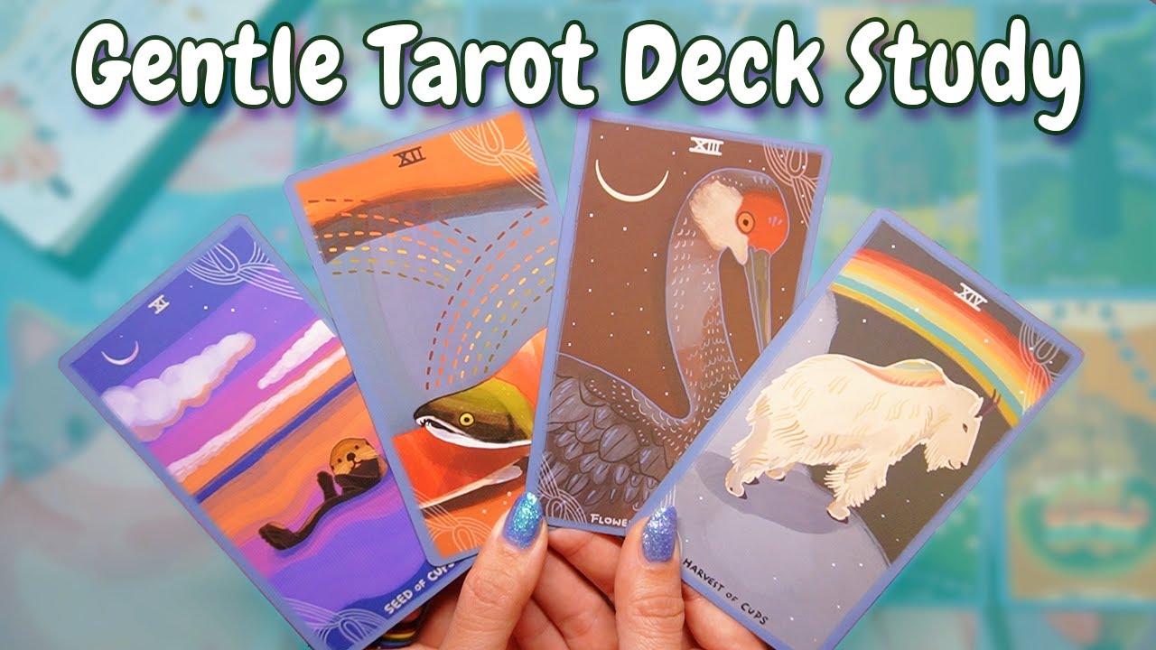 🌈 Gentle Tarot Deck Study Week 6 💧 The suit of MOTION 🌊 ⋒⸙‧₊˚