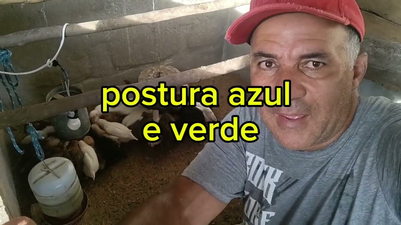 Postura azul e verde 