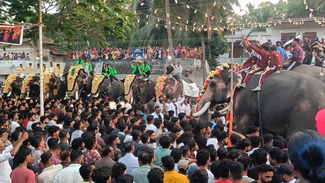 Thrithala v k KADAV fest 2024 തൃത്താല വി കെ കടവ് nercha fest
