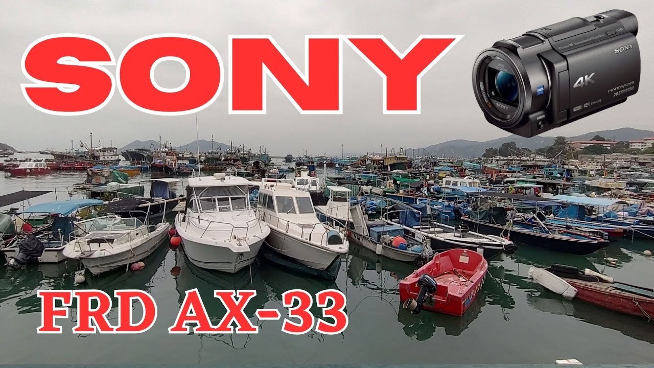 SONY FDR AX-33  day & night video test