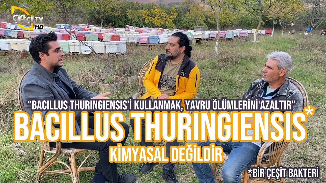 BACILLUS THURINGIENSIS Kimyasal Değildir (