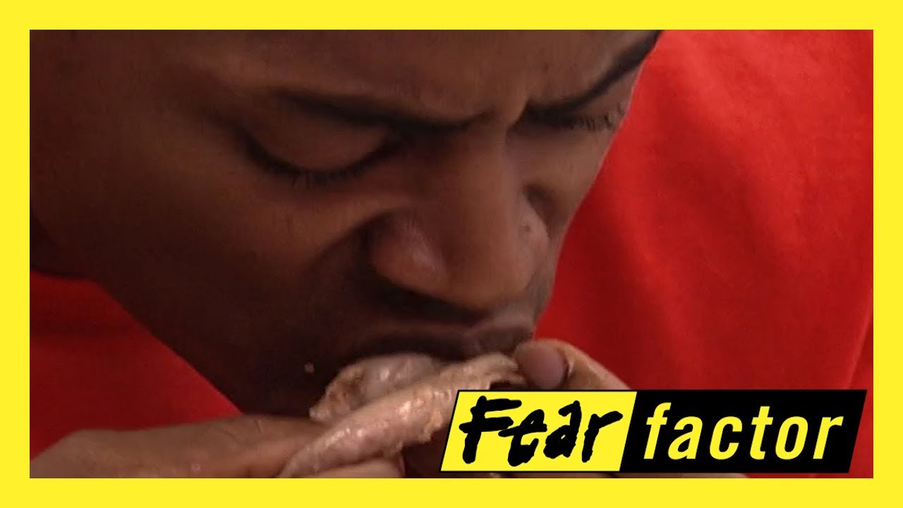 Fear Factor US Season 1 Episode 8: TESTICLES!! 😨 [HD]
