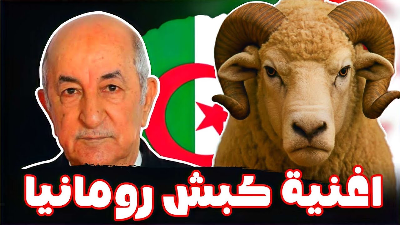 اغنية جزائرية قوية - كبش رومانيا - (للرفيه فقط)