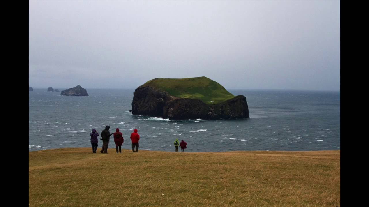 The Great Puffin Hunt