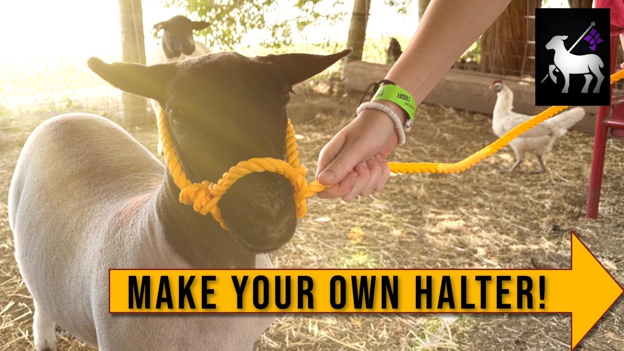 How to Make a Rope Halter