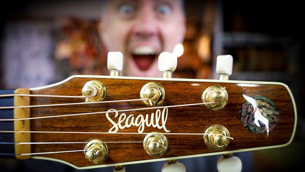 Скрытая проблема гитар Seagull...