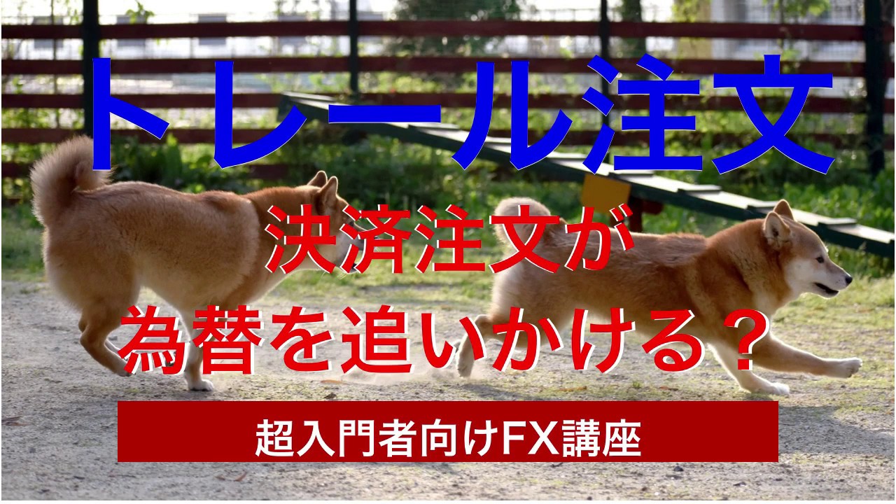 【基礎知識】FXのトレール注文の仕組みと活用するタイミング