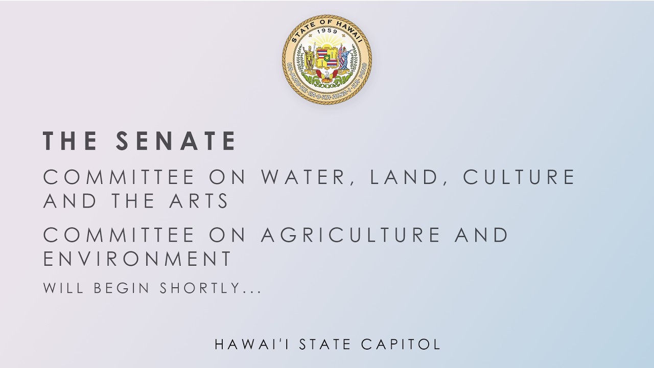WLA-AEN Public Hearing 02-11-2026