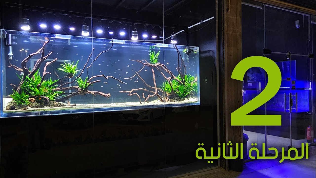 شرح كامل لتصميم أكبر حوض نباتي 5 الألف لتر | المرحلة الثانية |