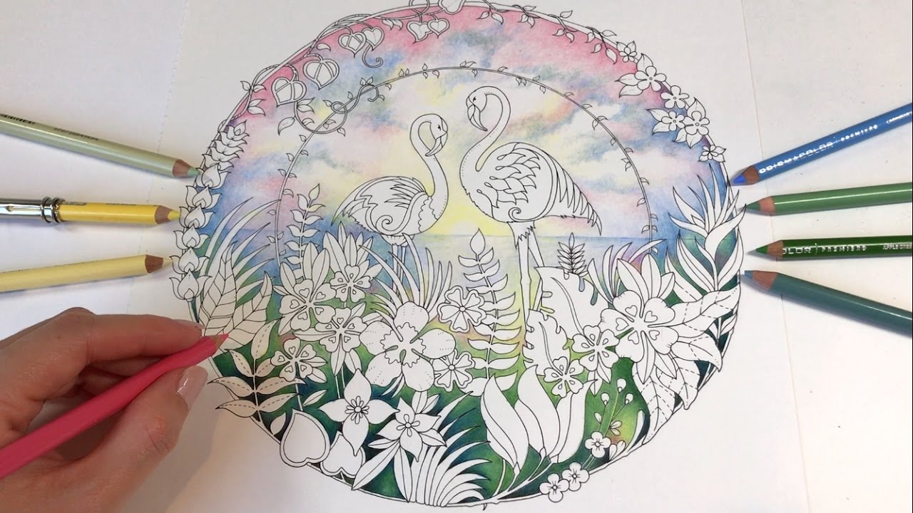 SUNRISE DRAWING | Pink Flamingo - Part 1 | MAGICAL JUNGLE