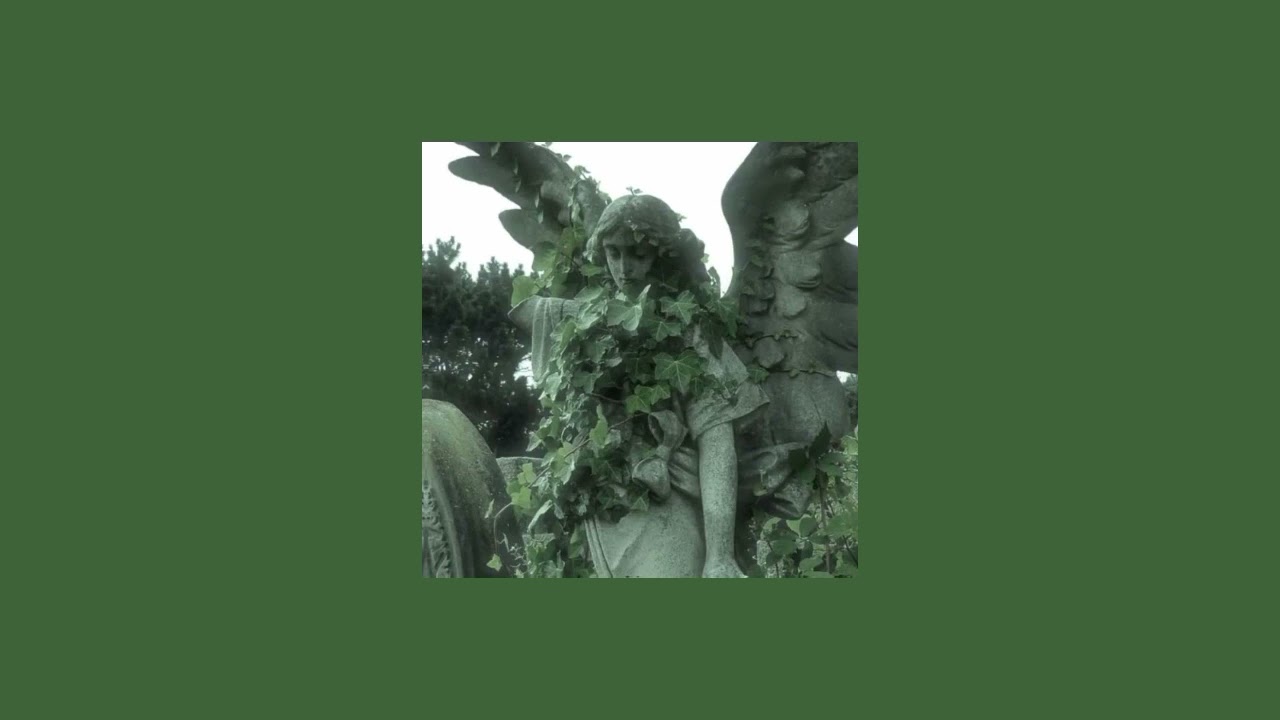 ‧₊˚꒷꒦ Twilight - by Bôa (Slowed) ‧ ₊˚