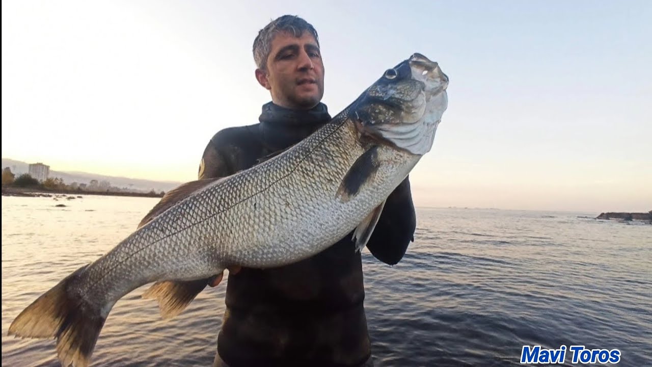 Levrek Somon Çılgınlıkları-Gopro 10 black cekimleri...