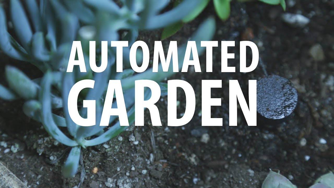 Automated Garden