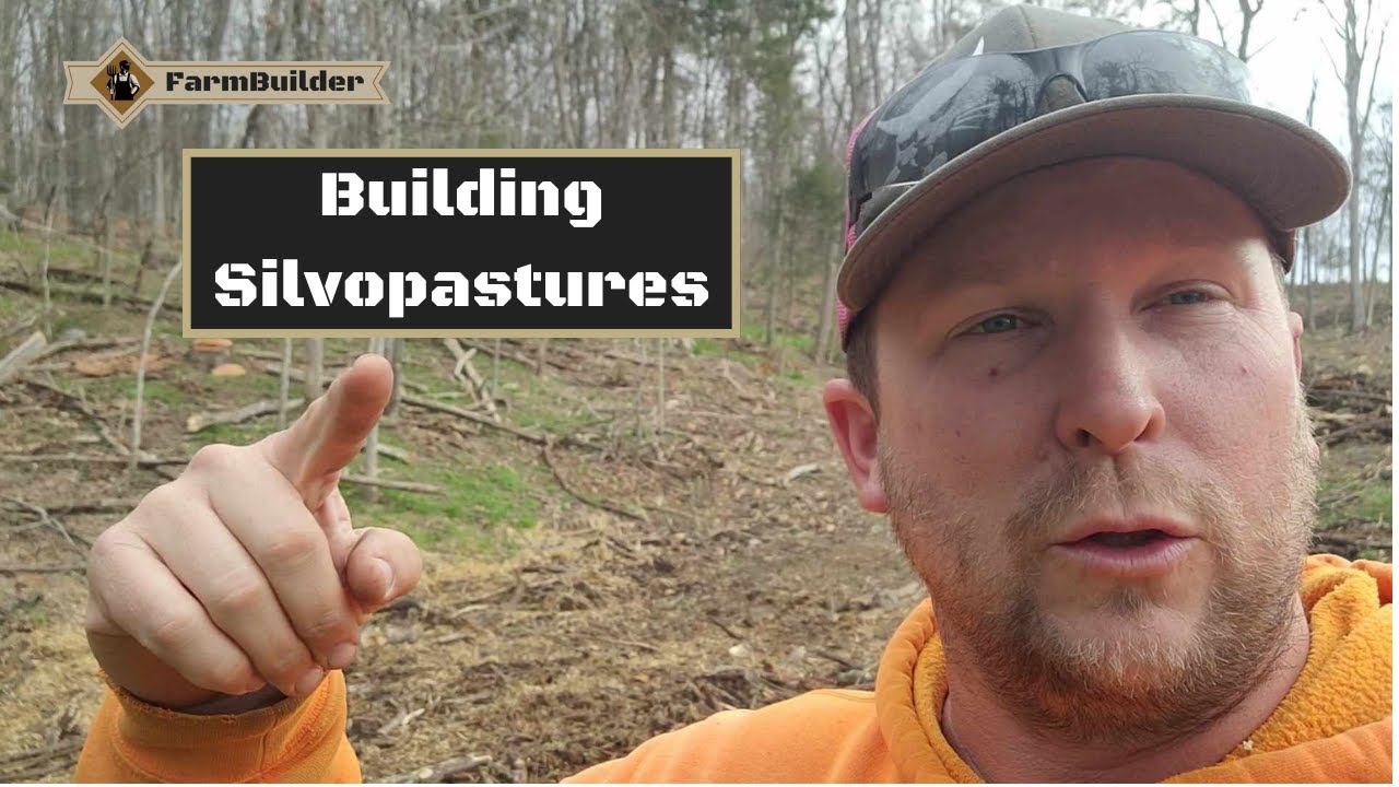 Building Silvopastures! (Answering your questions)