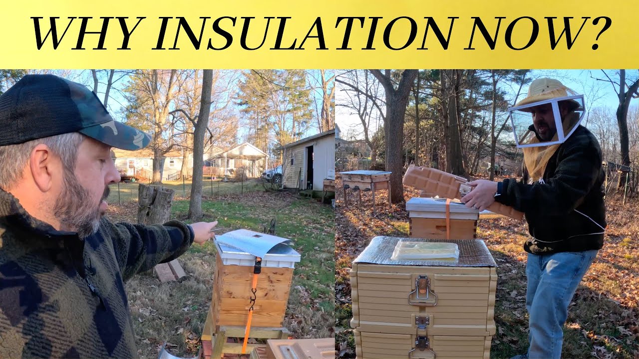 Why Am I Insulating an Insulated Hive? And Giveaway Updates ! !