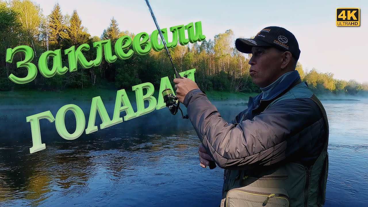 Заклевали ГОЛАВЛИ. Всё на Jackall Micro Tappy 54F