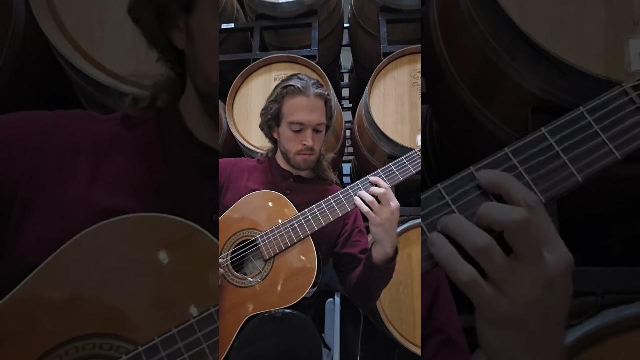 La Ch&uacute;cara #musicaargentina #classicalguitar ##guitarraclasica #viol&atilde;oclassico#chitarraclassica