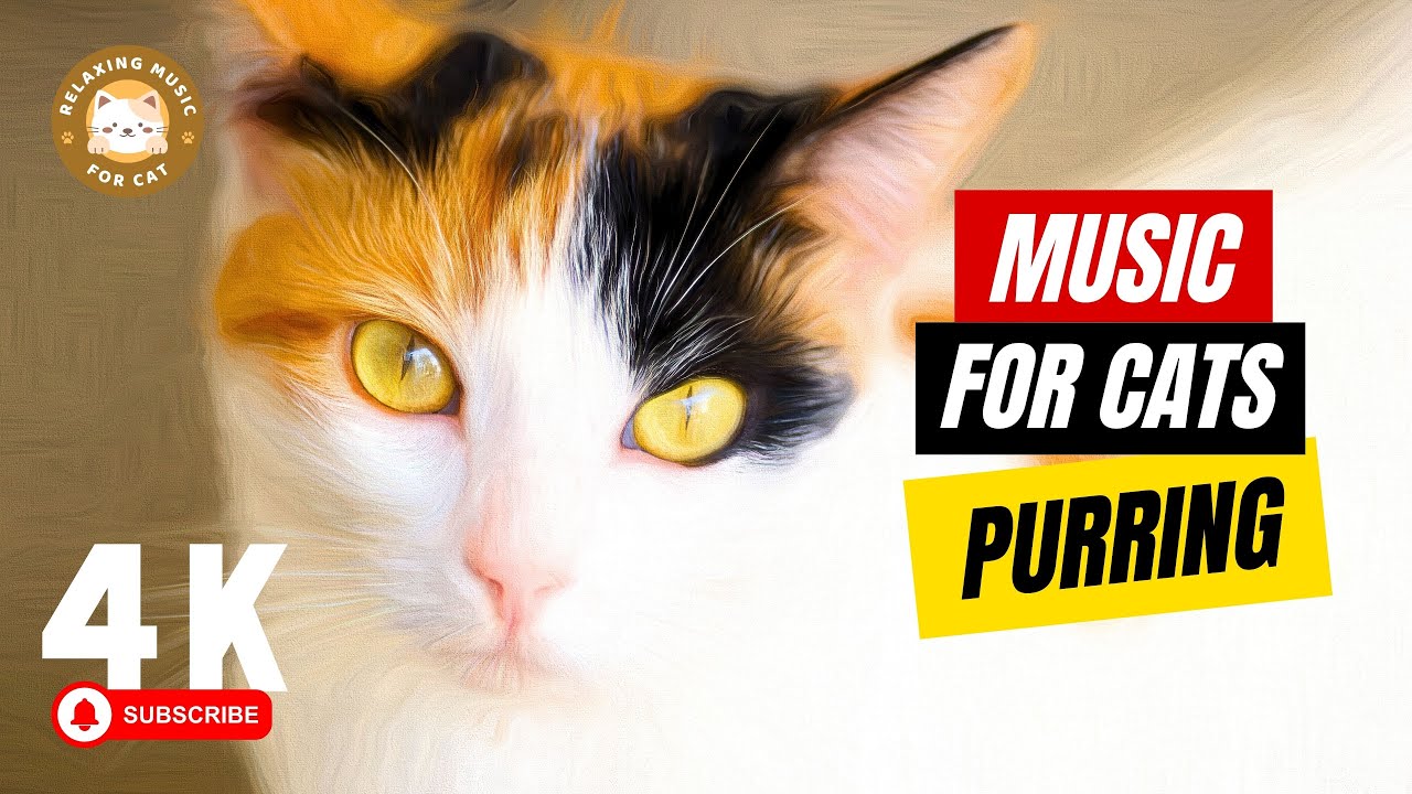 Relaxing Music for Cat with Soothing Purring Sounds 🐱