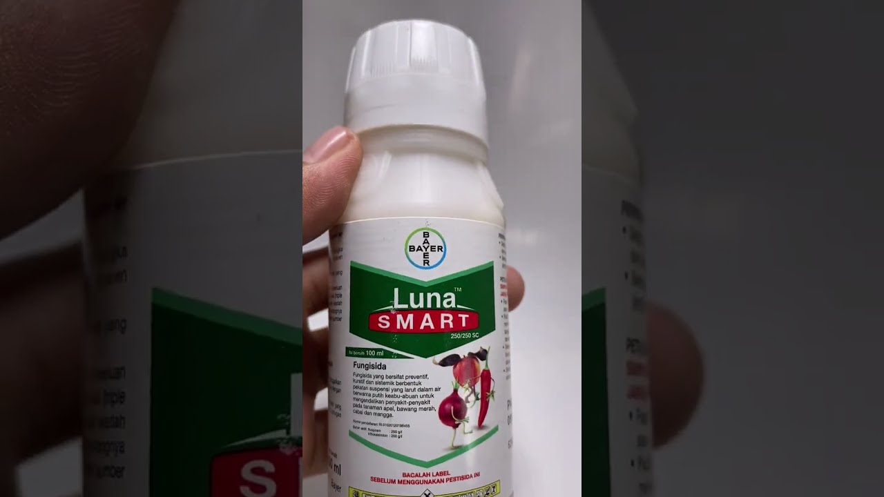 Obat Bercak Daun, Embun Tepung, Patek 🍎🌶🧅🥭 LUNA SMART 250/250 SC, BAYER Punya 😎😎