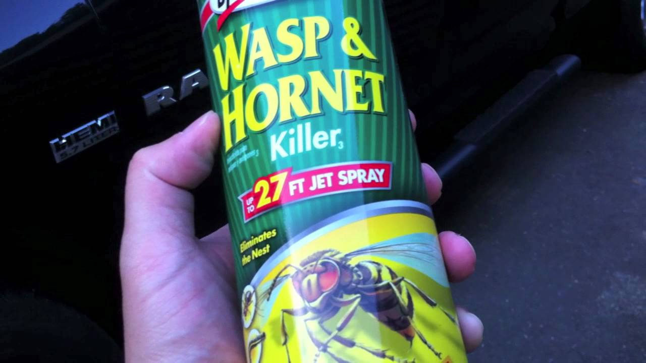 Wasp Spray as a Defensive Tool = Bad Idea