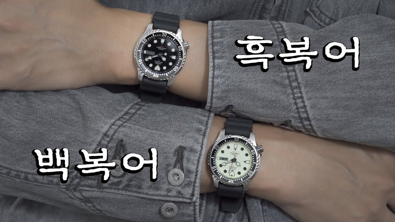 복어의 시간이 끝나간다. 시티즌 복어.