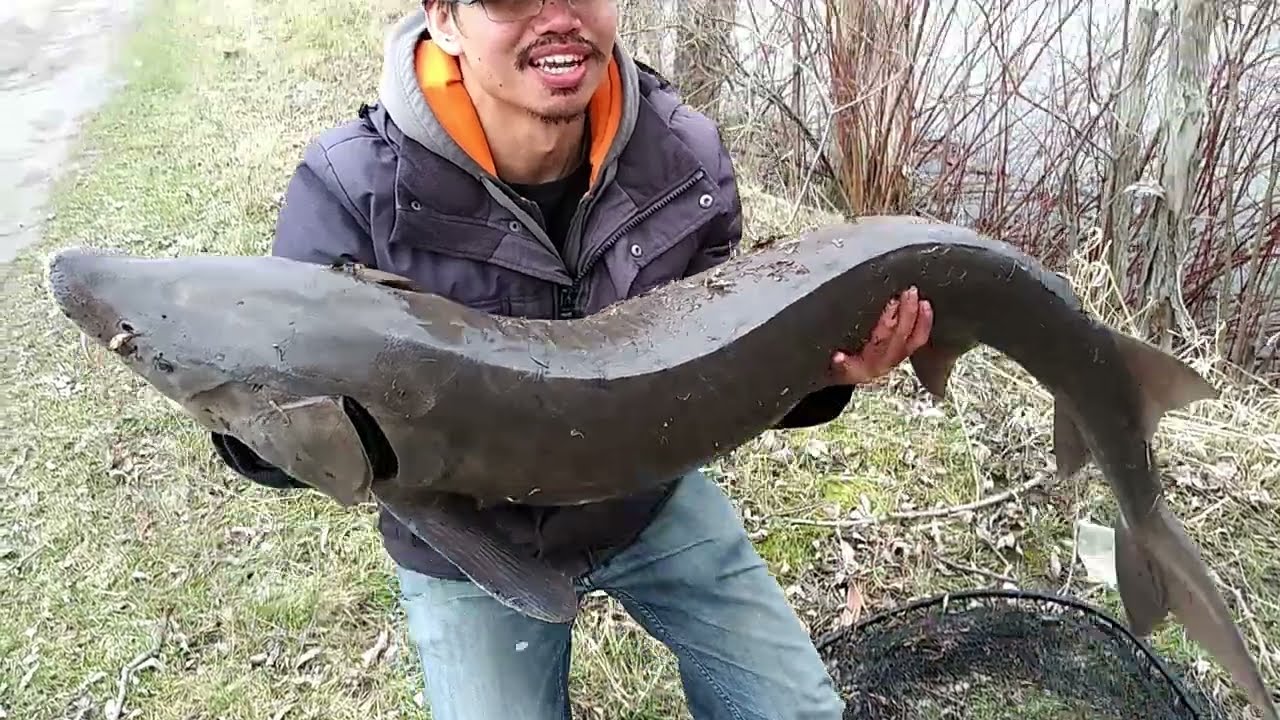 Catching the Biggest FISH of 2022 on light tackle!!! (River Monster)