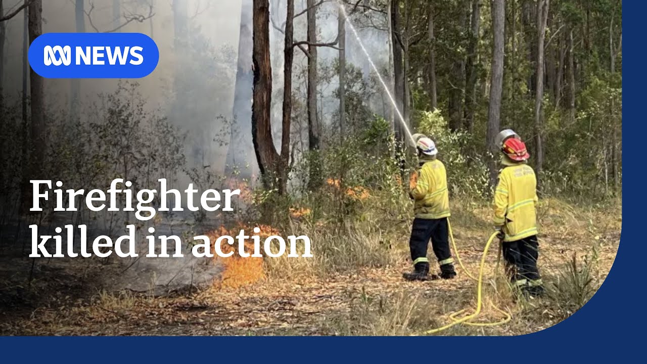 Firefighter killed in action near bushfire on NSW Mid North Coast | ABC NEWS