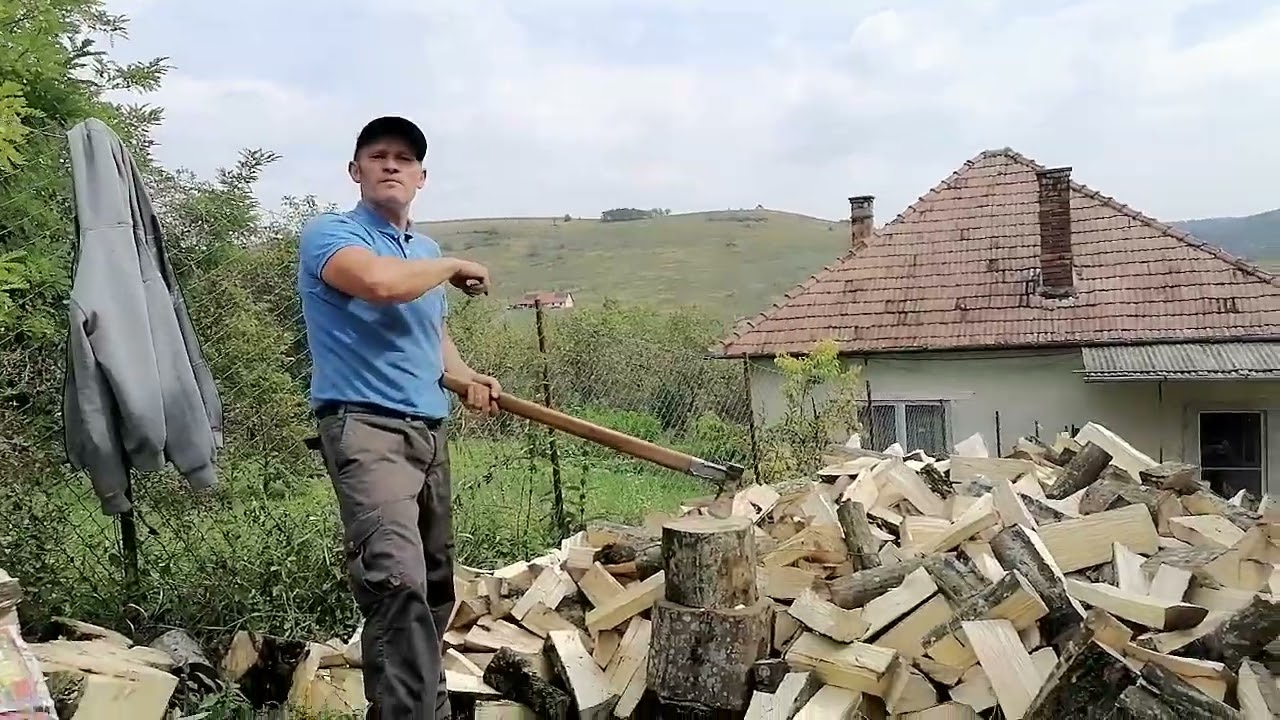 IN URMA CU CITEVA LUNI LA CREPAT DE LEMNE LA O TANTI BATRINA. 