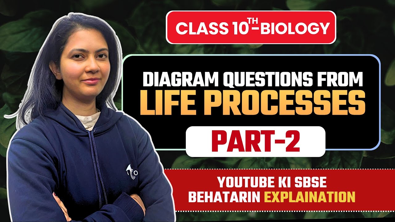 Class 10 Biology | Life Processes Diagram Based Questions - Part-2  | बोर्ड के लिए Best तैयारी