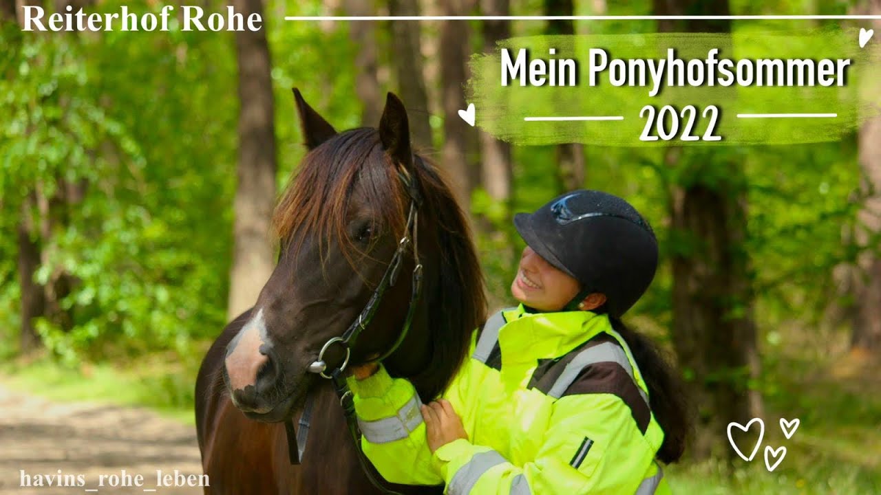 Mein Ponyhof Sommer ☀️🏡🐴 - Reiterhof Rohe