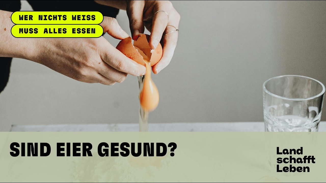 Sind Eier gesund?