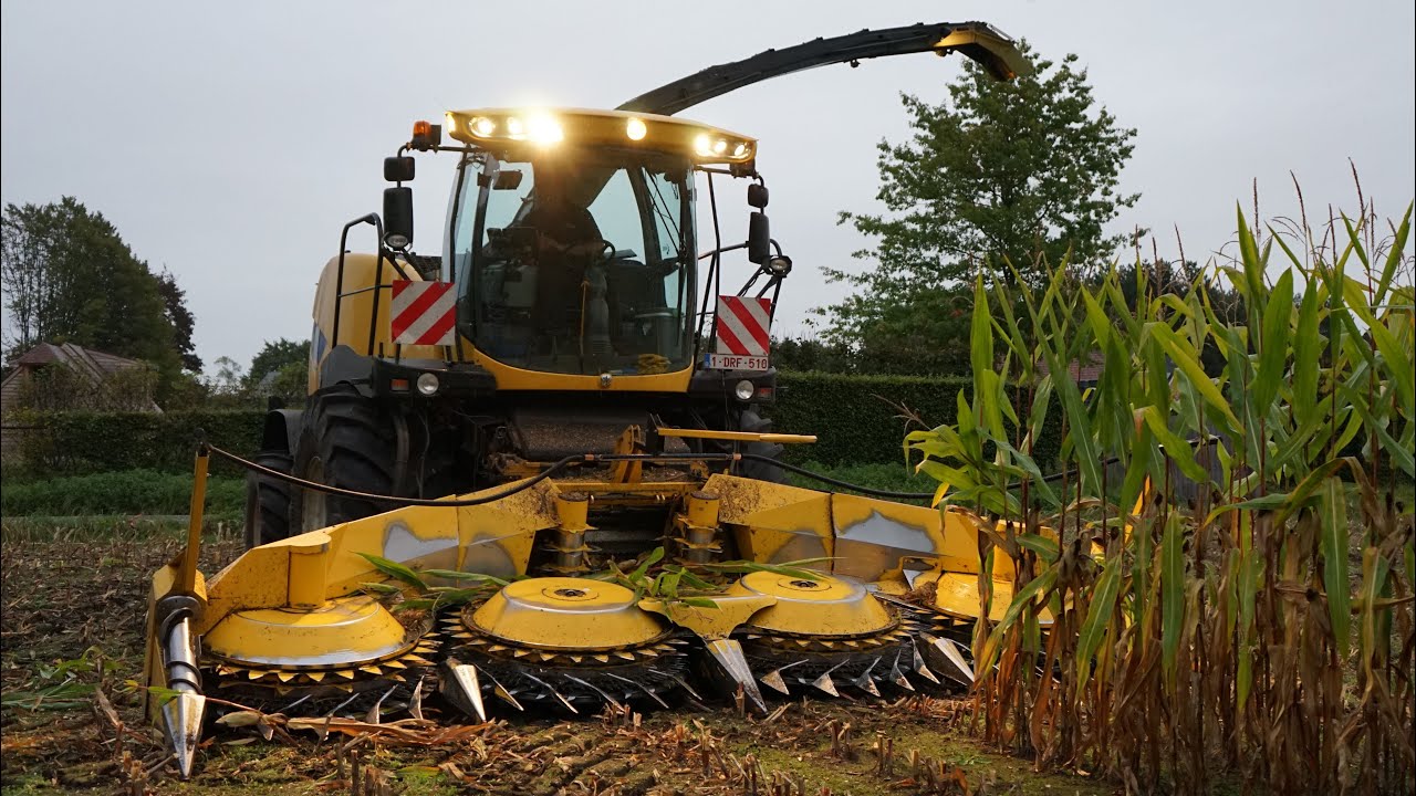 Chopping Corn | New Holland FR 600 | New Holland T7050 T7030 T6080 | Hena BVBA