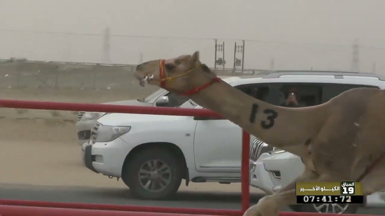 2 الشوط الثاني ثنايا قعدان السبت 24 01 2026