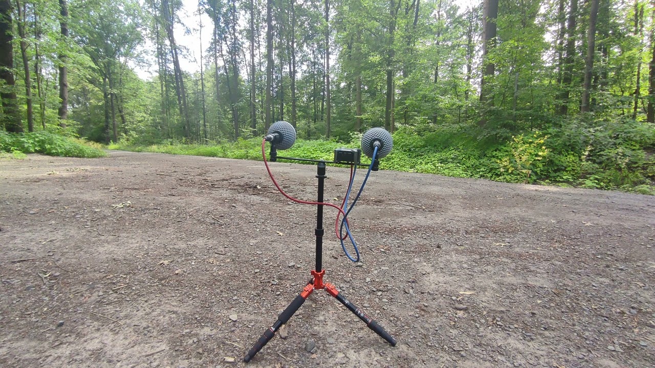 Testing of SE8 omnidirectional microphone for stereo field recording at 6 different locations