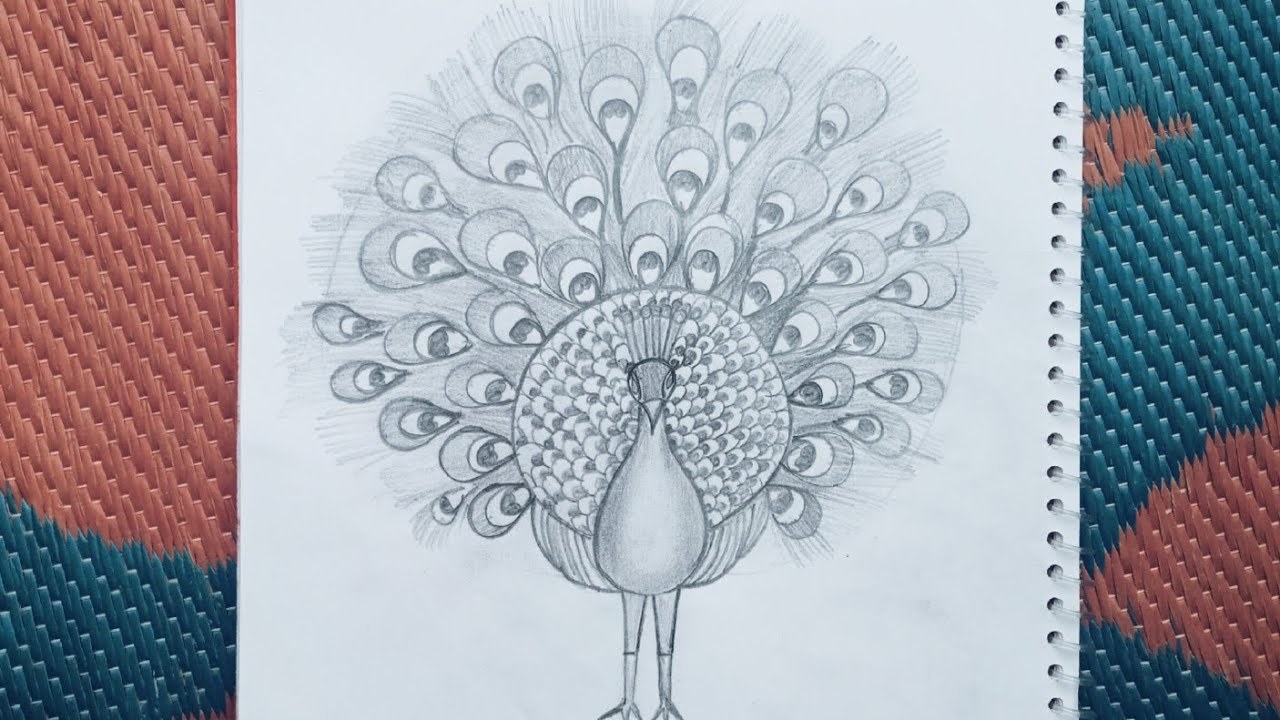 How to draw a beautiful dancing peacock/pencil shading peacock hand drawing banana sikhe simple art.