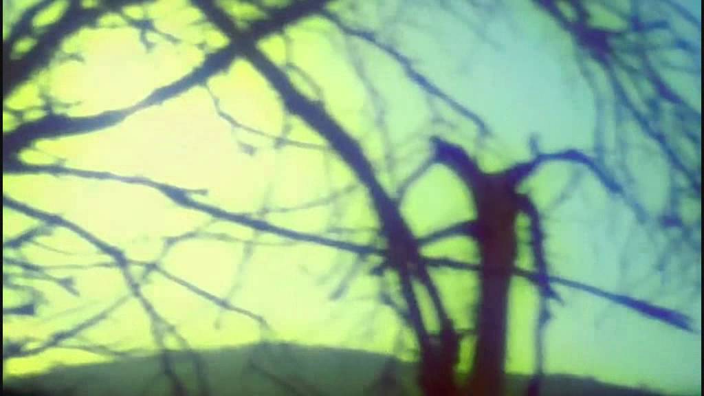 Yonderboi - Tameless (unofficial video)
