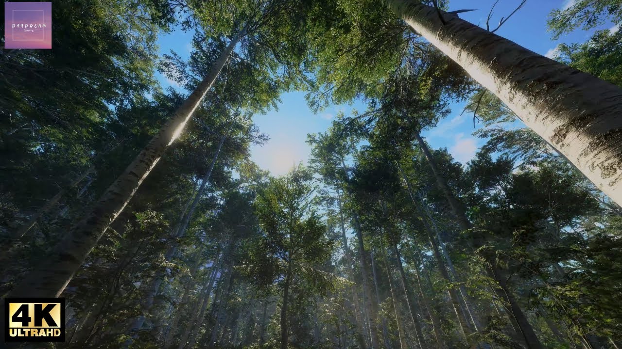 Beautiful Virtual Nature Walk in the Rocky Mountains, North America | theHunter: COTW | Ambience