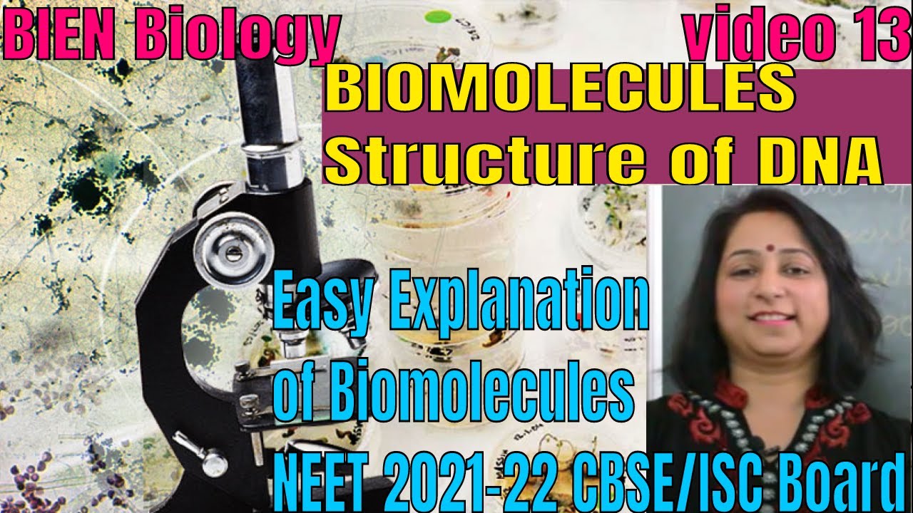 BIOMOLECULES Made easy | Structure of DNA | NEET 2021-22 | XI CBSE/ISC | By BIEN
