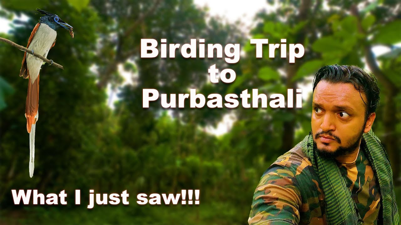 My First Vlog || What I Just Saw || A Birding Trip to Purbasthali || Wildlife Photography || Vlog 01