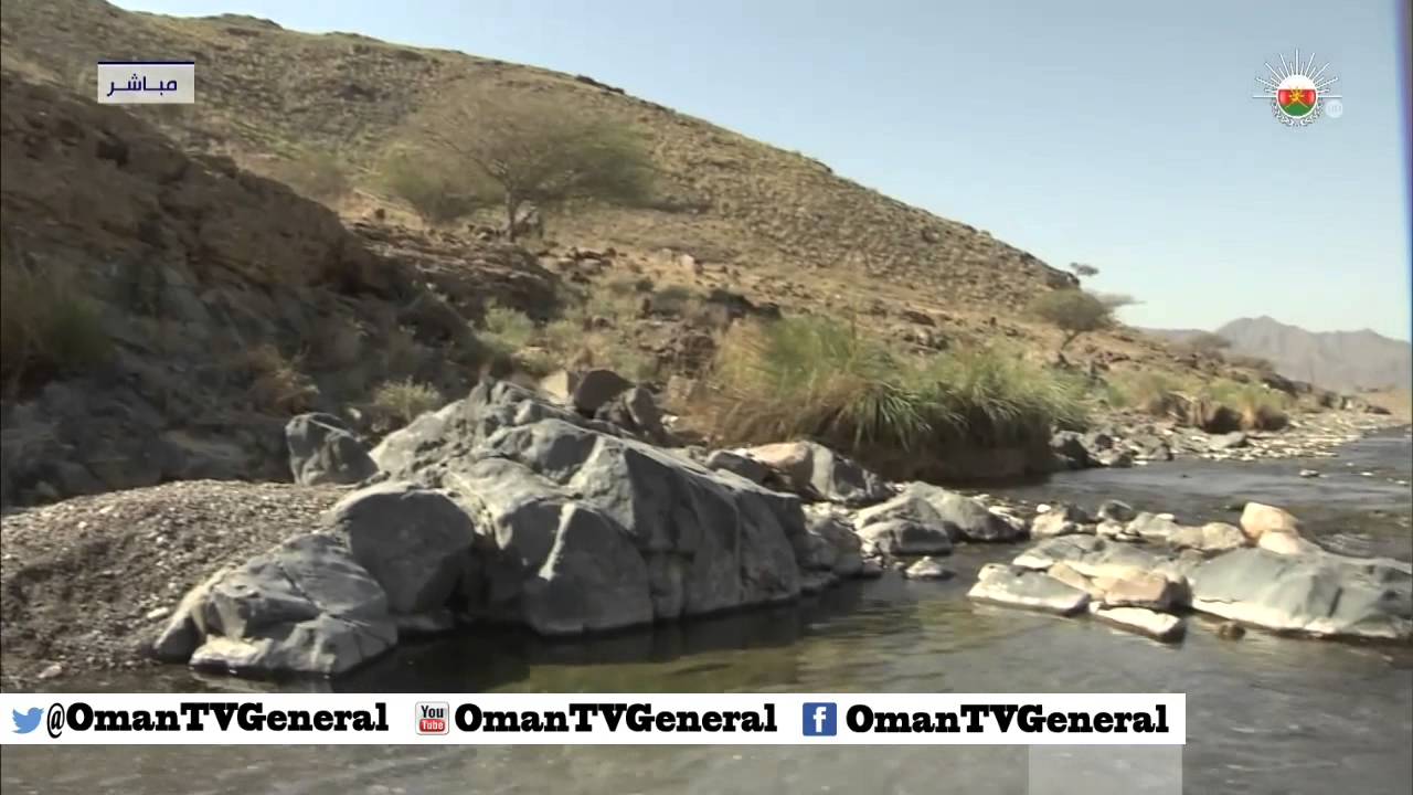 وادي الحواسنة
