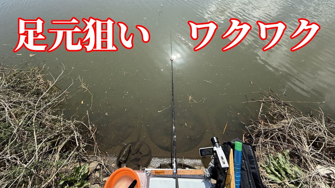 足元を狙うへらぶな釣りはワクワクがとまらない