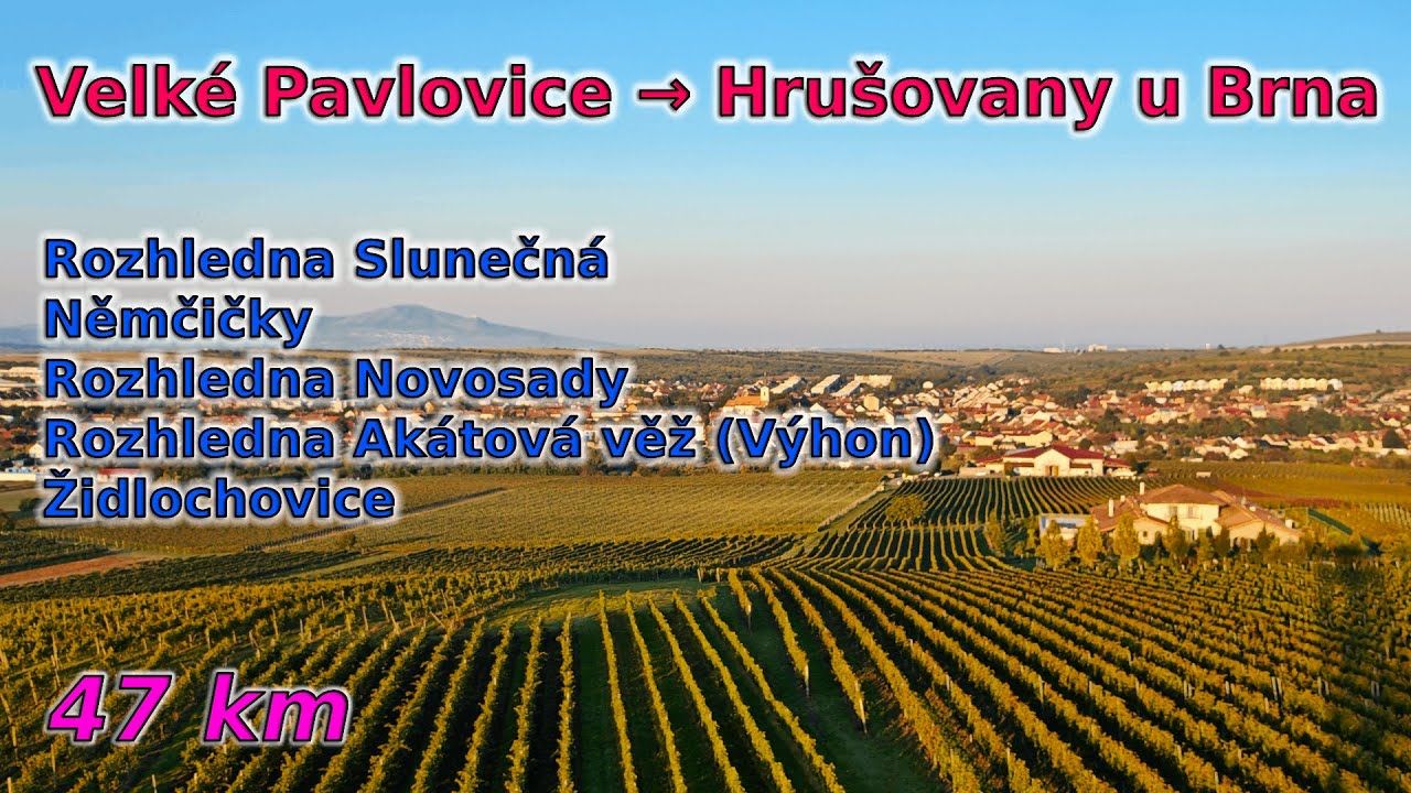 C87 Vinohrady a rozhledny (Velké Pavlovice - Hrušovany u Brna) [47 km]